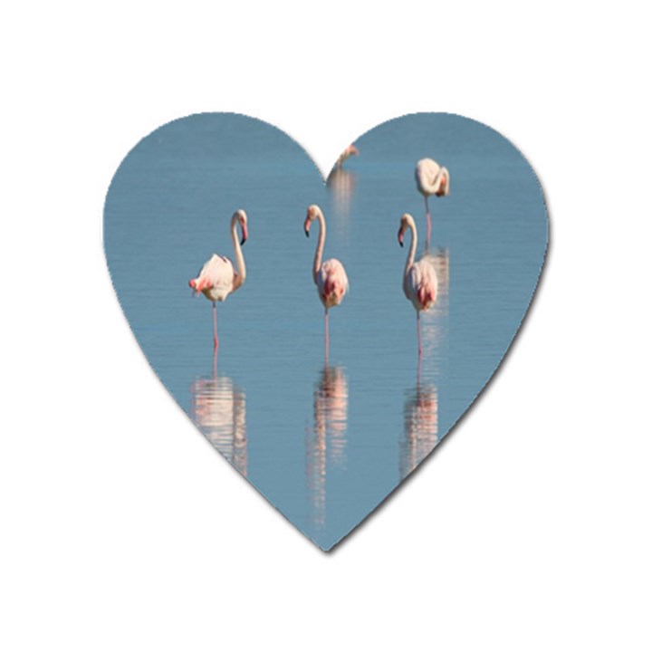 Flamingo Birds Plumage Sea Water Animal Exotic Heart Magnet