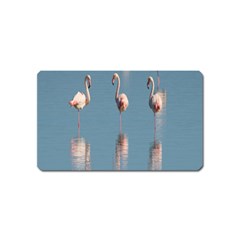 Flamingo Birds Plumage Sea Water Animal Exotic Magnet (name Card) by artworkshop