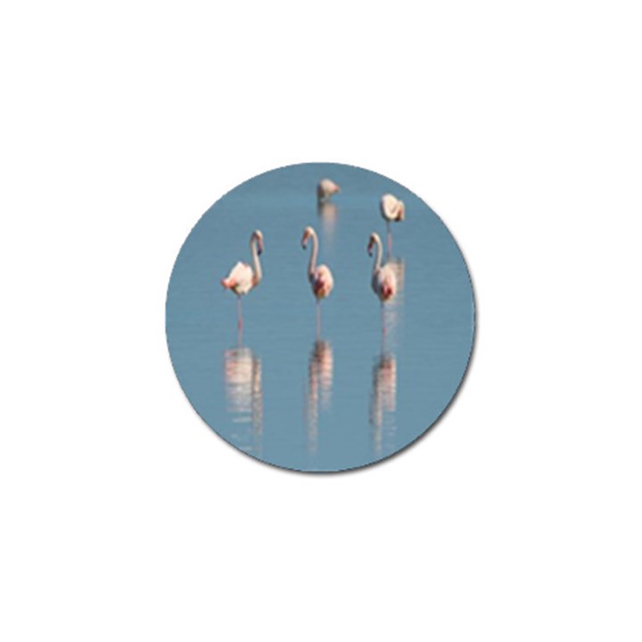 Flamingo Birds Plumage Sea Water Animal Exotic Golf Ball Marker (4 pack)