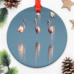 Flamingo Birds Plumage Sea Water Animal Exotic Round Ornament (two Sides) by artworkshop