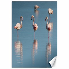 Flamingo Birds Plumage Sea Water Animal Exotic Canvas 12  X 18  by artworkshop