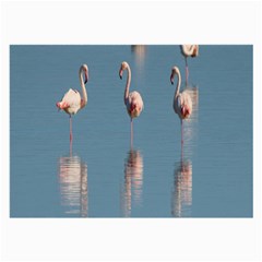 Flamingo Birds Plumage Sea Water Animal Exotic Large Glasses Cloth (2 Sides) by artworkshop