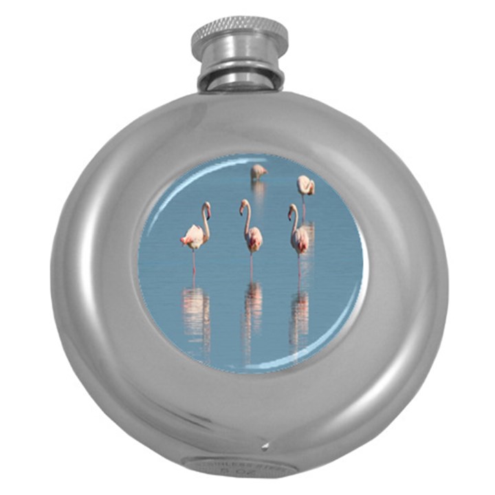 Flamingo Birds Plumage Sea Water Animal Exotic Round Hip Flask (5 oz)