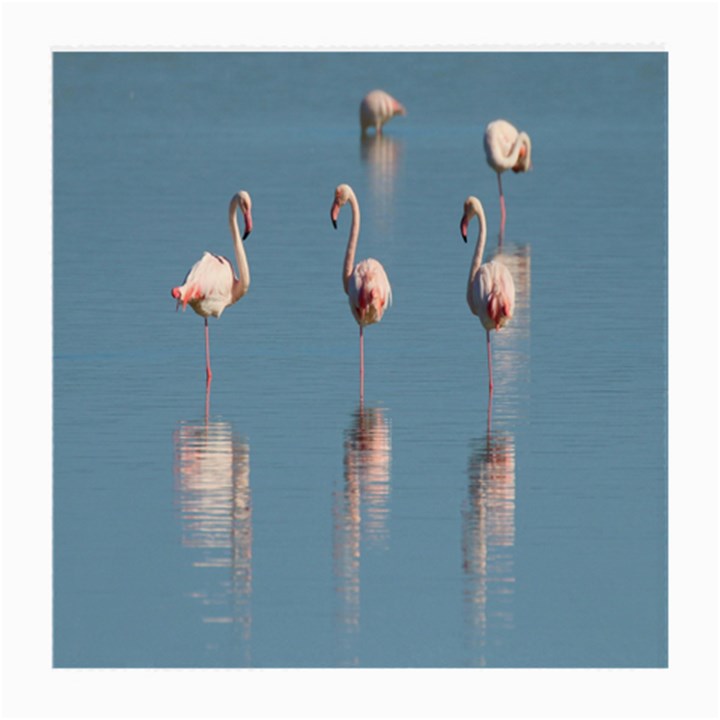 Flamingo Birds Plumage Sea Water Animal Exotic Medium Glasses Cloth