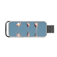 Flamingo Birds Plumage Sea Water Animal Exotic Portable Usb Flash (one Side) by artworkshop