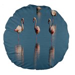 Flamingo Birds Plumage Sea Water Animal Exotic Large 18  Premium Round Cushions Front