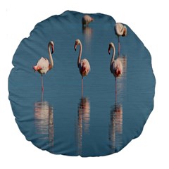 Flamingo Birds Plumage Sea Water Animal Exotic Large 18  Premium Round Cushions by artworkshop