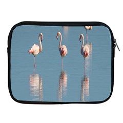 Flamingo Birds Plumage Sea Water Animal Exotic Apple Ipad 2/3/4 Zipper Cases by artworkshop