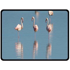 Flamingo Birds Plumage Sea Water Animal Exotic Double Sided Fleece Blanket (large)  by artworkshop