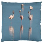 Flamingo Birds Plumage Sea Water Animal Exotic Large Flano Cushion Case (Two Sides) Front