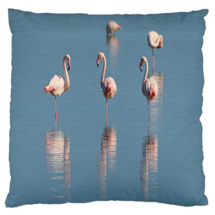 Flamingo Birds Plumage Sea Water Animal Exotic Large Flano Cushion Case (Two Sides)