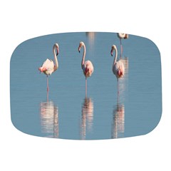 Flamingo Birds Plumage Sea Water Animal Exotic Mini Square Pill Box by artworkshop