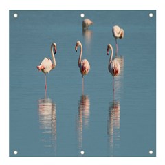 Flamingo Birds Plumage Sea Water Animal Exotic Banner And Sign 4  X 4  by artworkshop