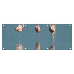 Flamingo Birds Plumage Sea Water Animal Exotic Banner And Sign 8  X 3  by artworkshop