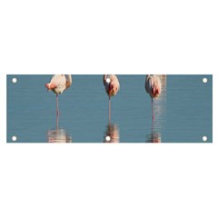 Flamingo Birds Plumage Sea Water Animal Exotic Banner And Sign 6  X 2  by artworkshop