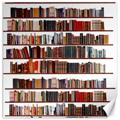 Books Shelves Bookshelves Bookcase 634 Canvas 12  X 12  by Wegoenart