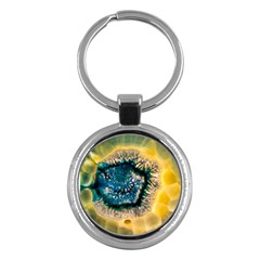 Glowing Yellow And Blue Agate Key Chain (round) by LotAKeyChains