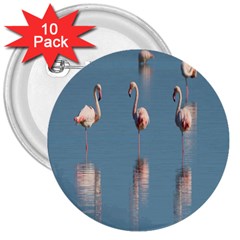 Flamingo Birds Plumage Sea Water Animal Exotic 3  Buttons (10 Pack)  by artworkshop