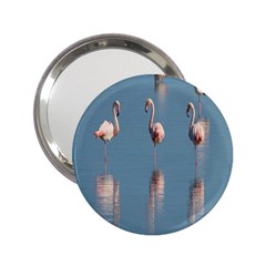 Flamingo Birds Plumage Sea Water Animal Exotic 2 25  Handbag Mirrors by artworkshop