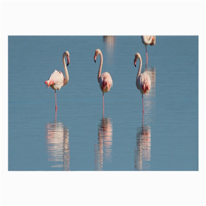 Flamingo Birds Plumage Sea Water Animal Exotic Large Glasses Cloth