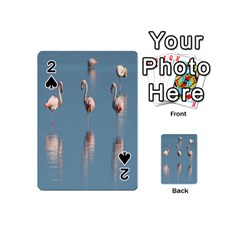 Flamingo Birds Plumage Sea Water Animal Exotic Playing Cards 54 Designs (mini) by artworkshop