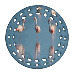 Flamingo Birds Plumage Sea Water Animal Exotic Ornament (round Filigree) by artworkshop