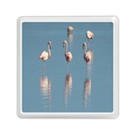 Flamingo Birds Plumage Sea Water Animal Exotic Memory Card Reader (Square) Front