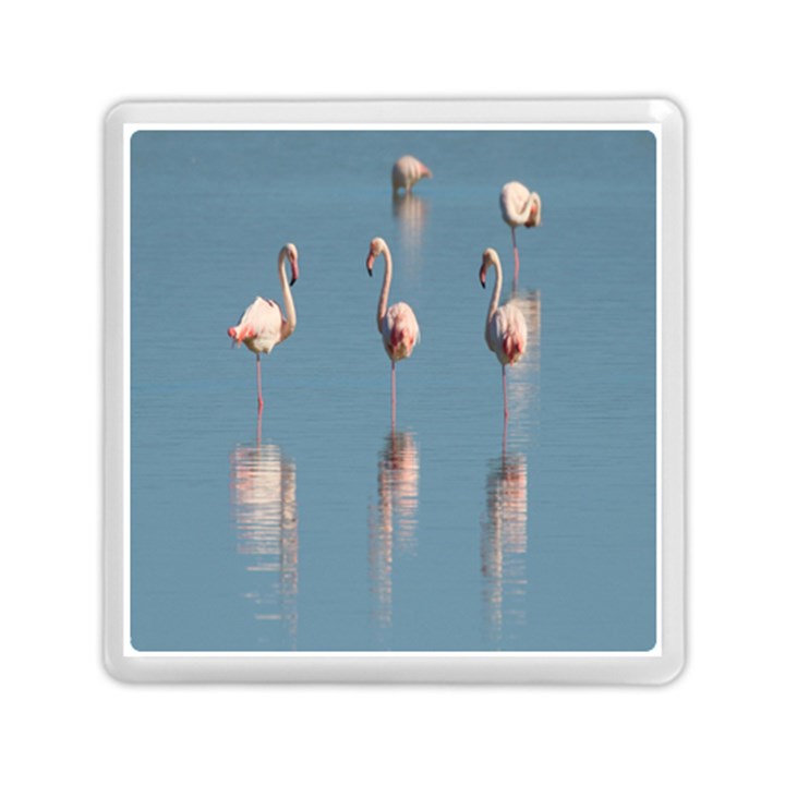 Flamingo Birds Plumage Sea Water Animal Exotic Memory Card Reader (Square)