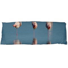 Flamingo Birds Plumage Sea Water Animal Exotic Body Pillow Case (dakimakura) by artworkshop