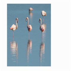 Flamingo Birds Plumage Sea Water Animal Exotic Large Garden Flag (two Sides) by artworkshop