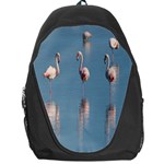 Flamingo Birds Plumage Sea Water Animal Exotic Backpack Bag Front