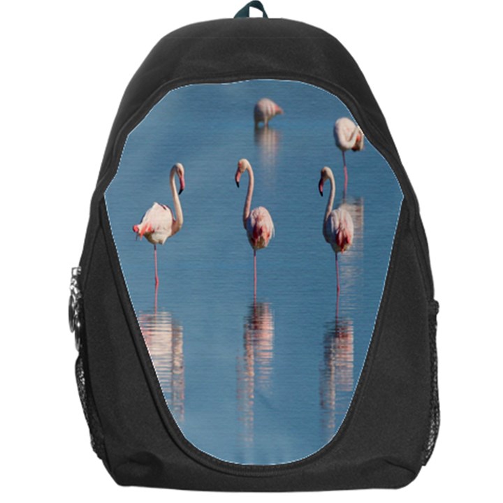 Flamingo Birds Plumage Sea Water Animal Exotic Backpack Bag