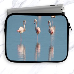 Flamingo Birds Plumage Sea Water Animal Exotic Apple Ipad 2/3/4 Zipper Cases by artworkshop