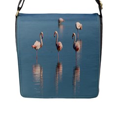 Flamingo Birds Plumage Sea Water Animal Exotic Flap Closure Messenger Bag (l) by artworkshop