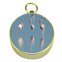 Flamingo Birds Plumage Sea Water Animal Exotic Gold Compasses by artworkshop