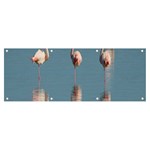 Flamingo Birds Plumage Sea Water Animal Exotic Banner and Sign 8  x 3  Front