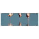 Flamingo Birds Plumage Sea Water Animal Exotic Banner and Sign 9  x 3  Front