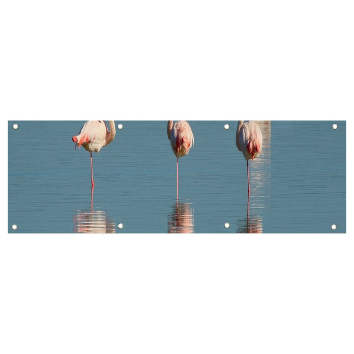 Flamingo Birds Plumage Sea Water Animal Exotic Banner and Sign 9  x 3 