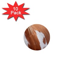 Horse Coat Animal Equine 1  Mini Buttons (10 Pack)  by artworkshop