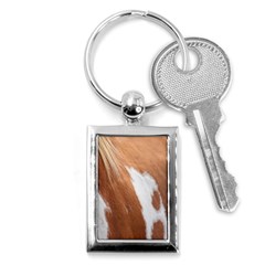 Horse Coat Animal Equine Key Chain (rectangle) by artworkshop