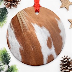 Horse Coat Animal Equine Round Ornament (two Sides) by artworkshop