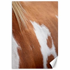 Horse Coat Animal Equine Canvas 12  X 18  by artworkshop