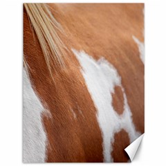 Horse Coat Animal Equine Canvas 36  X 48  by artworkshop