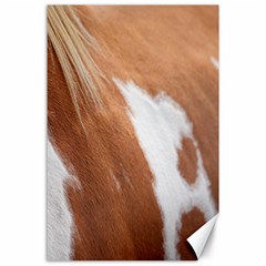 Horse Coat Animal Equine Canvas 24  X 36  by artworkshop