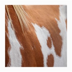 Horse Coat Animal Equine Medium Glasses Cloth (2 Sides)