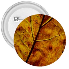 Leaf Leaf Veins Fall 3  Buttons by artworkshop