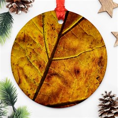 Leaf Leaf Veins Fall Ornament (round) by artworkshop