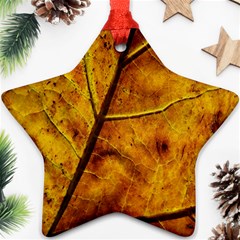 Leaf Leaf Veins Fall Ornament (star) by artworkshop