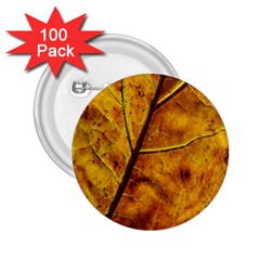 Leaf Leaf Veins Fall 2 25  Buttons (100 Pack)  by artworkshop