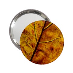 Leaf Leaf Veins Fall 2 25  Handbag Mirrors by artworkshop